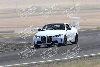 media/Mar-13-2022-Extreme Speed (Sun) [[a57caffb82]]/2-gold/session 4 turn 6/